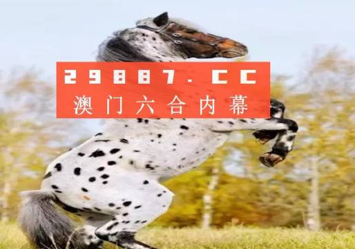 白小姐的精準(zhǔn)免費四肖，揭秘背后的秘密，揭秘白小姐精準(zhǔn)免費四肖背后的秘密