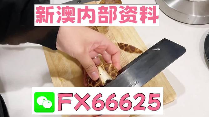 澳門(mén)九點(diǎn)半9點(diǎn)半網(wǎng)站——探索其魅力與優(yōu)勢(shì)，澳門(mén)九點(diǎn)半網(wǎng)站，魅力與優(yōu)勢(shì)探索