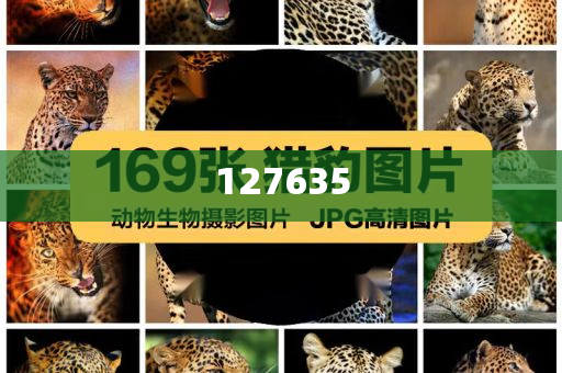 精準(zhǔn)新傳真解讀