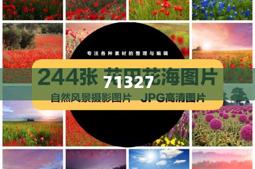 探索777788888管家婆網(wǎng)，一站式解決方案的綜合服務(wù)平臺(tái)，一站式解決方案的綜合服務(wù)平臺(tái)，探索777788888管家婆網(wǎng)