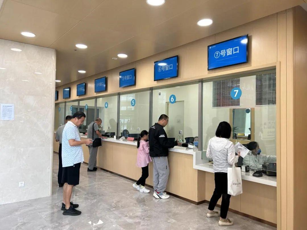 新門內(nèi)部資料免費下載——探索與揭秘，新門內(nèi)部資料揭秘，免費下載與探索之旅
