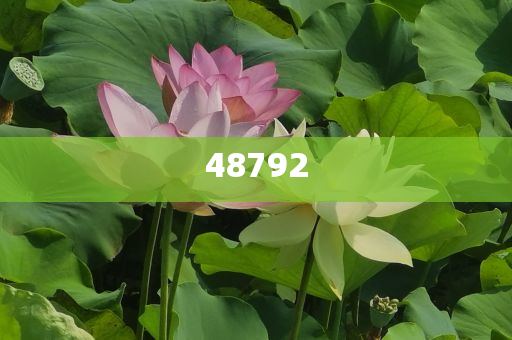 新奧彩免費(fèi)提供，探索最佳彩票體驗(yàn)之路，新奧彩免費(fèi)體驗(yàn)，探索最佳彩票之旅