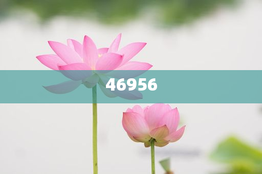 新奧集團(tuán)，邁向2025，天天開好彩的愿景與挑戰(zhàn)，新奧集團(tuán)邁向2025，實現(xiàn)天天開好彩的愿景與挑戰(zhàn)