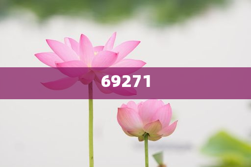 澳門 第21頁