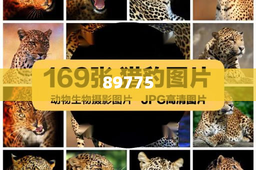 關(guān)于新奧歷史開(kāi)獎(jiǎng)記錄的最新信息，今天公布了嗎？，新奧歷史開(kāi)獎(jiǎng)記錄最新信息公布了嗎？