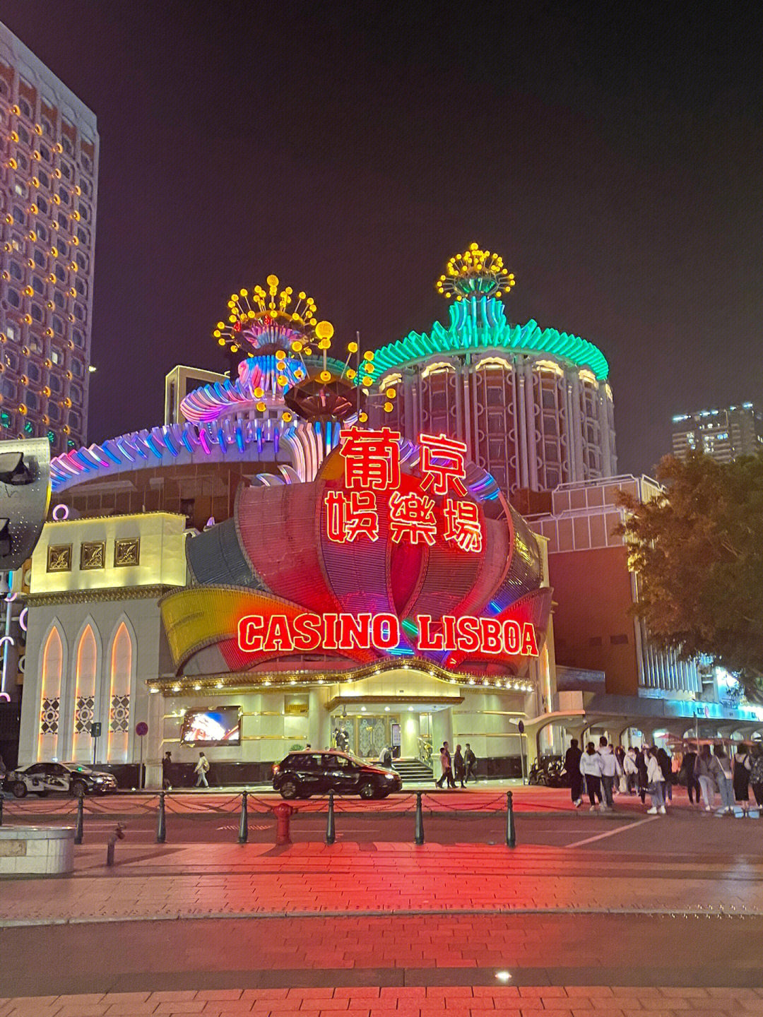 澳門今晚必開一肖一特芳草地，探索生肖與運勢的神秘面紗，澳門生肖運勢揭秘，探索今晚必開一肖一特芳草地神秘面紗的運勢之旅