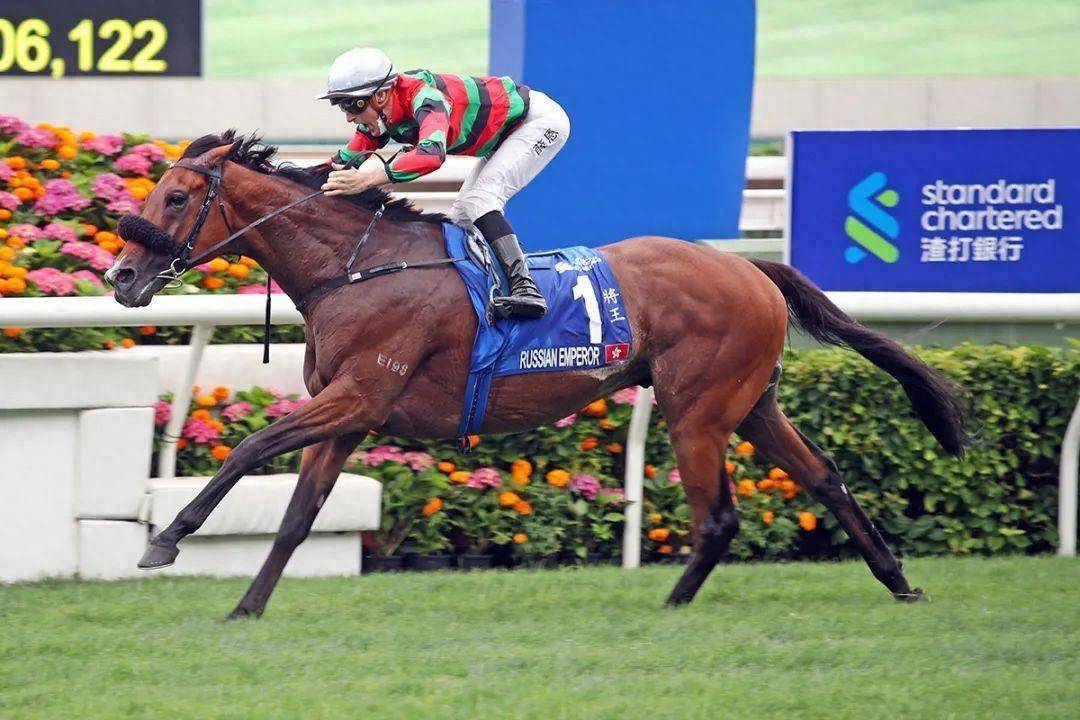 香港馬賽事，探索數(shù)字背后的激情與榮耀 7777788888，香港馬賽事，數(shù)字背后的激情與榮耀