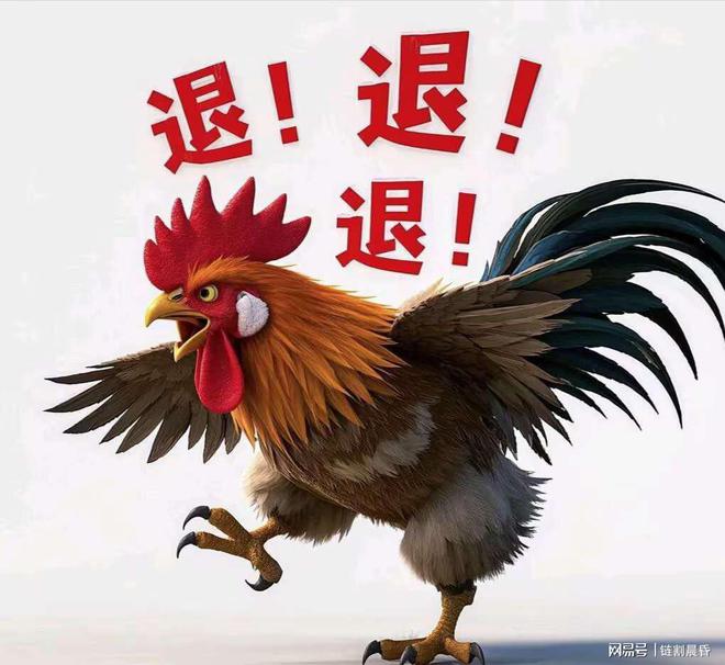 今晚特馬生肖必開資料，深度解析與預(yù)測，深度解析與預(yù)測，今晚特馬生肖必開資料揭秘