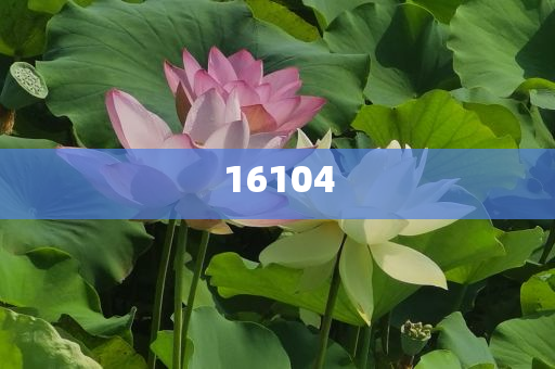 新奧600圖庫2025，探索與前瞻，新奧600圖庫2025，深度探索與未來展望