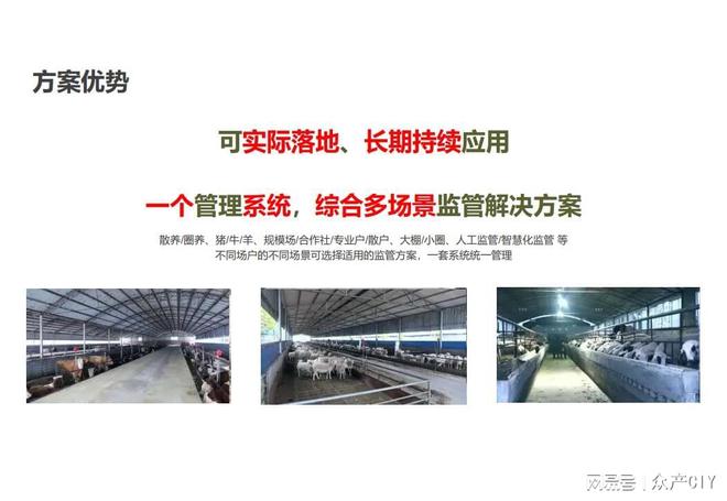 2025新澳芳草地正版資料免押