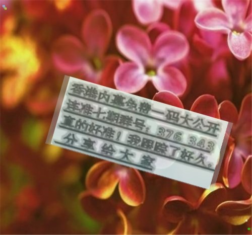 揭秘兩肖必中一肖王中王的秘密策略，揭秘兩肖必中一肖王中王的秘密策略，揭秘生肖彩票的必勝法則！