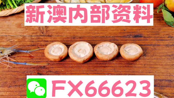 新澳正版資料免費提供，全面解析與深度探索，新澳正版資料全面解析與深度探索，免費提供的指南