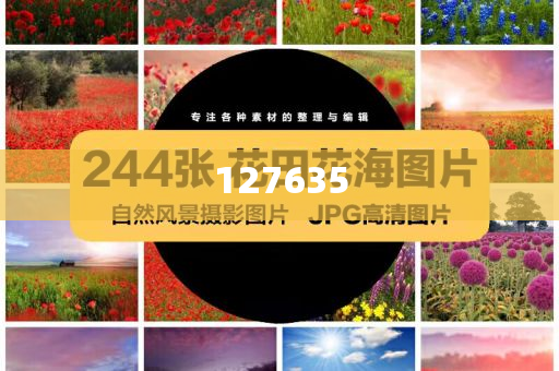 揭秘7777788888精準(zhǔn)免費(fèi)秘籍，一網(wǎng)打盡所有資源！，揭秘獨(dú)家秘籍，精準(zhǔn)獲取7777788888資源，一網(wǎng)打盡所有免費(fèi)資源大揭秘！
