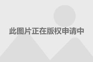 軍事行動，深度解析與全方位探討，軍事行動，深度解析與全方位探討研究