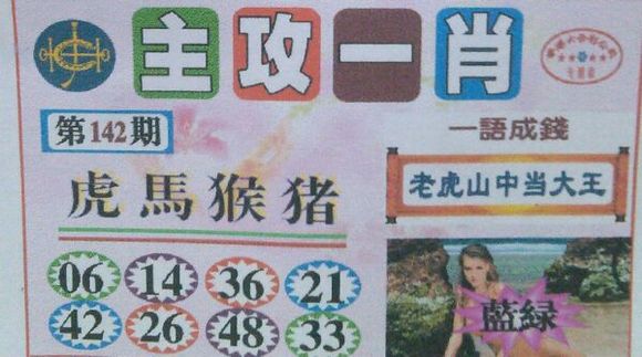 王中王號碼一肖，揭秘背后的秘密與策略，揭秘王中王號碼一肖背后的秘密與策略之道