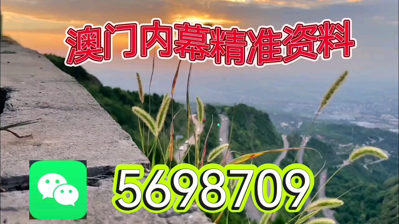 新澳天天開彩資料大全——探索彩票世界的奧秘，新澳天天開彩資料大全，揭秘彩票世界的神秘面紗