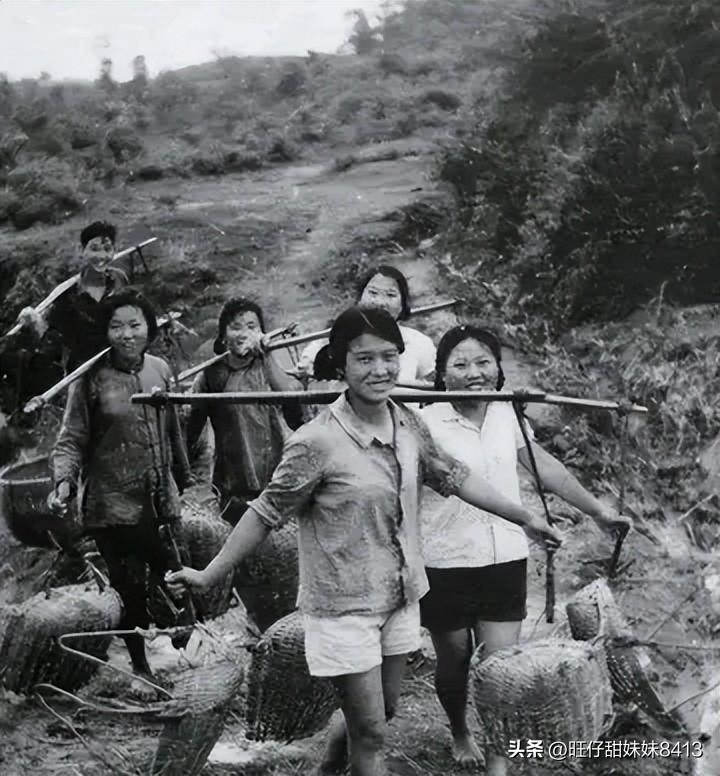 49圖庫(kù)圖片 資料