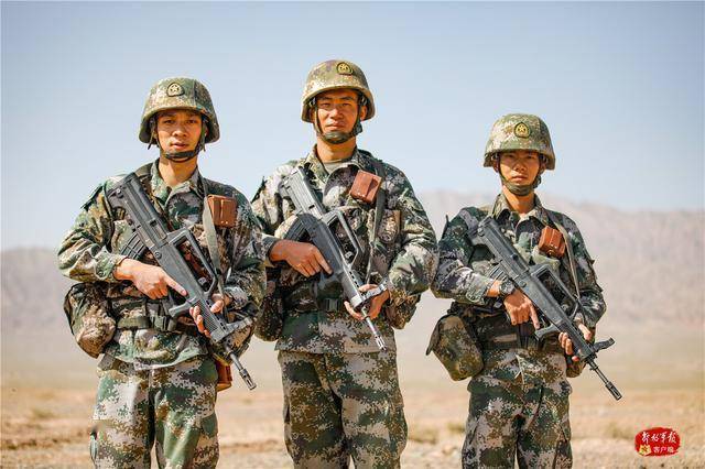 西陸軍網，探索軍事資訊的寶庫，西陸軍網，軍事資訊寶庫探索