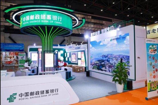 探索未來的澳門，2025年澳門天天展望，澳門未來展望，探索之路與2025年展望