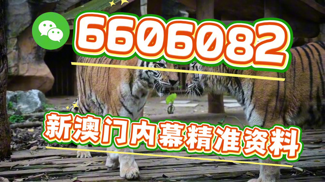澳門今晚必開一肖一特，深度解析與預測，澳門今晚生肖特碼深度解析與預測，一肖一特必開趨勢探討