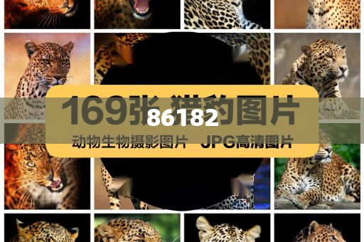 新奧精準(zhǔn)免費(fèi)提供港澳彩——揭秘彩票行業(yè)的秘密武器，揭秘新奧精準(zhǔn)免費(fèi)提供港澳彩的神秘面紗，彩票行業(yè)的秘密武器探究