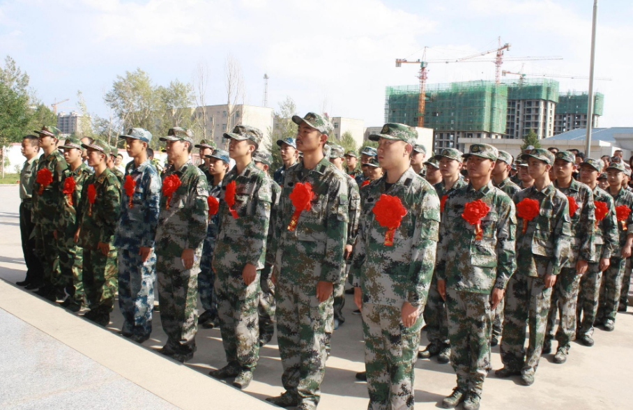 大學(xué)生當(dāng)兵條件全面解析，大學(xué)生當(dāng)兵條件的全面解析