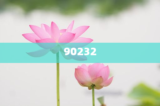 彩票秘籍