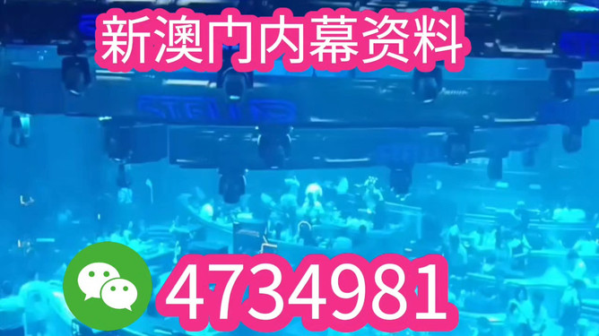 澳門特馬今晚開獎香港，探索彩票背后的文化魅力與未來展望（2025年展望），澳門特馬與香港彩票，文化魅力背后的未來展望（2025年展望）
