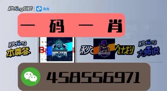 本期一肖一碼王中王，揭秘與探索，揭秘一肖一碼王中王，探索生肖與數(shù)字的神秘聯(lián)系