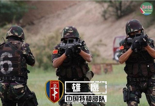中國七大特種部隊，神秘的力量與卓越的能力，中國七大特種部隊，神秘力量與超凡能力的展現(xiàn)