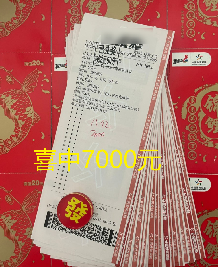 澳彩公證處一碼三中三，專業(yè)、公正、透明的彩票服務(wù)，澳彩公證處，專業(yè)、公正、透明的彩票服務(wù)，一碼三中三助您中獎！