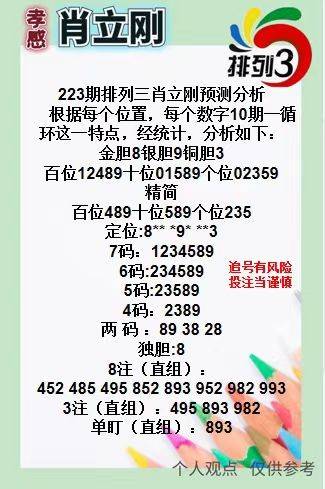 王中王三肖一碼資料，深度解析與SEO優(yōu)化策略，王中王三肖一碼資料深度解析與SEO優(yōu)化策略全攻略