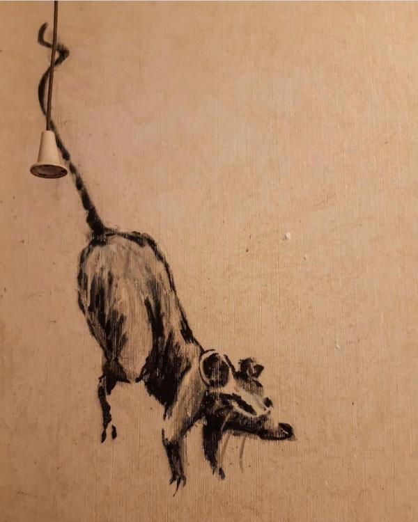 揭秘劉伯溫平特一肖，109期背后的神秘故事與預(yù)測啟示，揭秘劉伯溫平特一肖背后的神秘故事與預(yù)測啟示，第109期的啟示