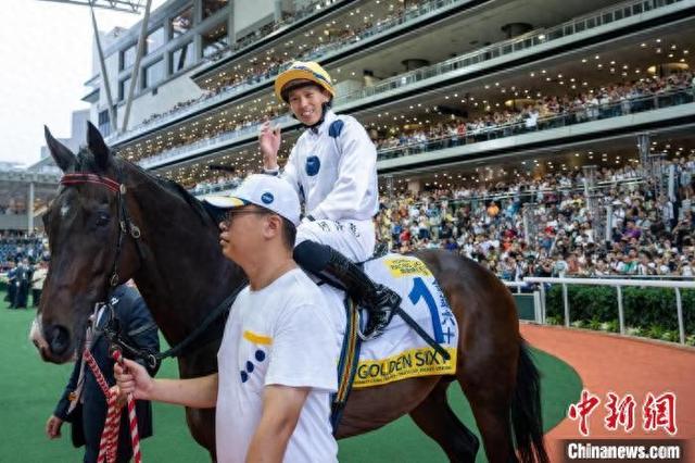 香港特馬王資料免費公開，深度解析與探索，香港特馬王資料深度解析與探索，免費公開揭秘