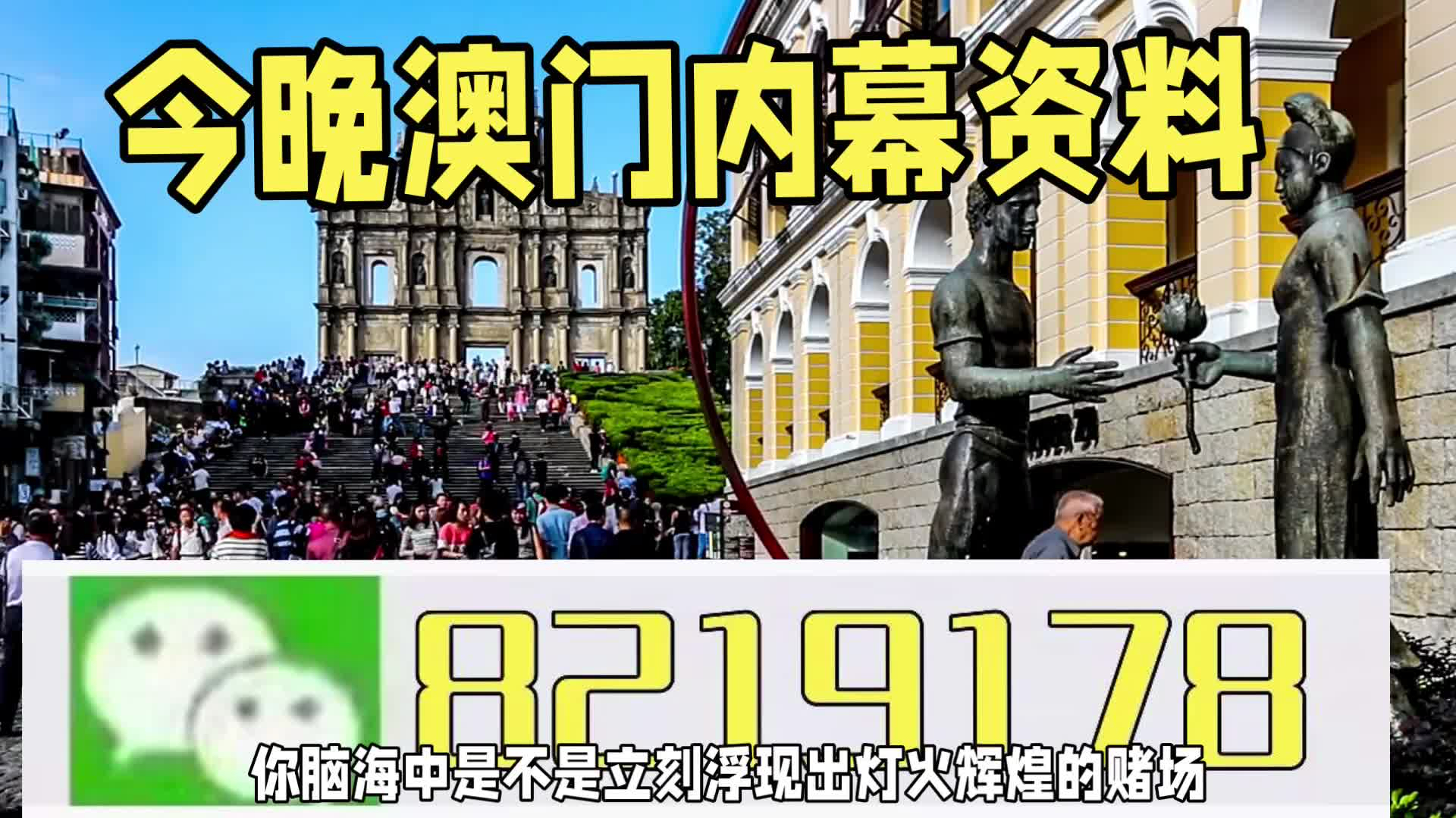 新澳門一肖一特一中，探索與解讀，新澳門一肖一特一中，深度探索與解讀