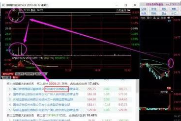 探索300563股吧的獨特魅力與機(jī)遇，揭秘300563股吧，獨特魅力與無限機(jī)遇