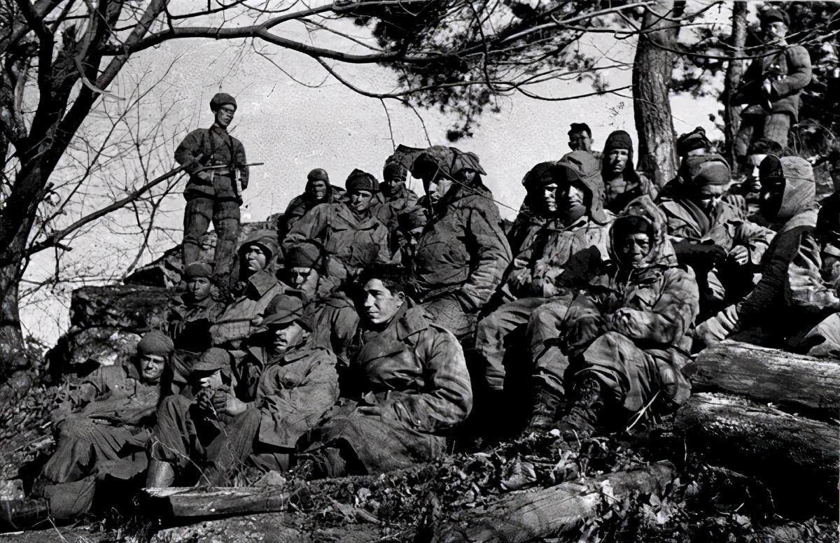 王中王119期指一生肖，深度解析與預(yù)測(cè)，王中王119期生肖深度解析與預(yù)測(cè)，揭秘未來(lái)走向