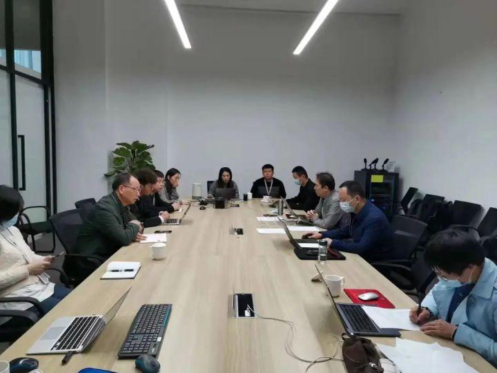 隆平高科股票股，投資潛力與市場前景分析，隆平高科股票投資潛力與市場前景深度解析