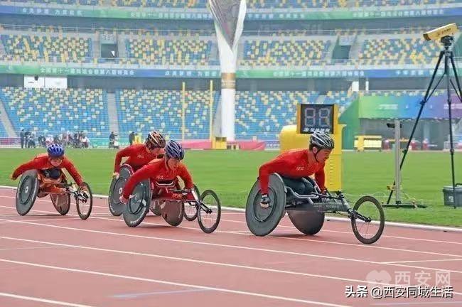 探索澳門未來，2025新澳門正版免費資本車展望，澳門未來展望，2025資本車正版免費探索之旅