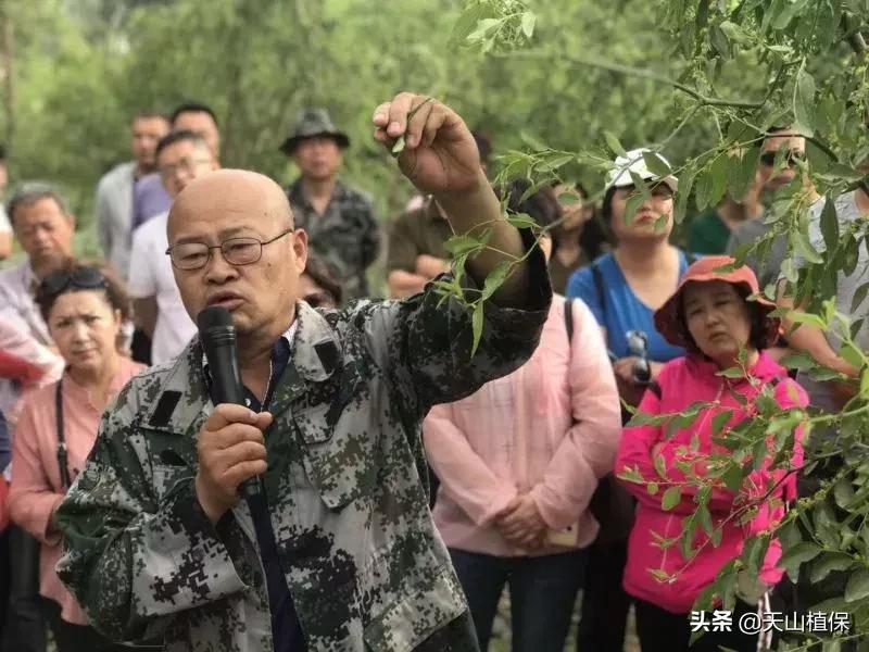 長期吃紅棗的潛在害處，了解并平衡飲食健康，長期食用紅棗的潛在風(fēng)險與飲食平衡的重要性