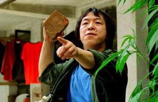 王中王丑中王解一肖，探尋背后的故事與奧秘，探尋王中王丑中王解一肖背后的故事與奧秘