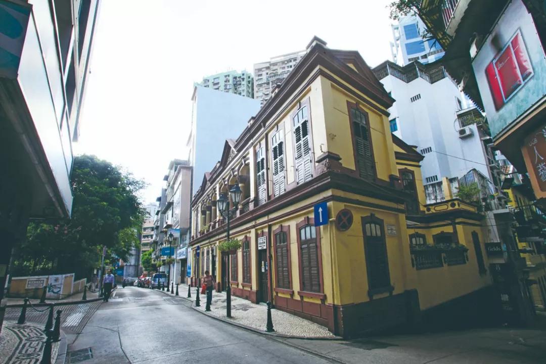 澳門三期內(nèi)必開一肖——揭秘生肖彩票的奧秘，揭秘澳門生肖彩票三期必開一肖的神秘面紗