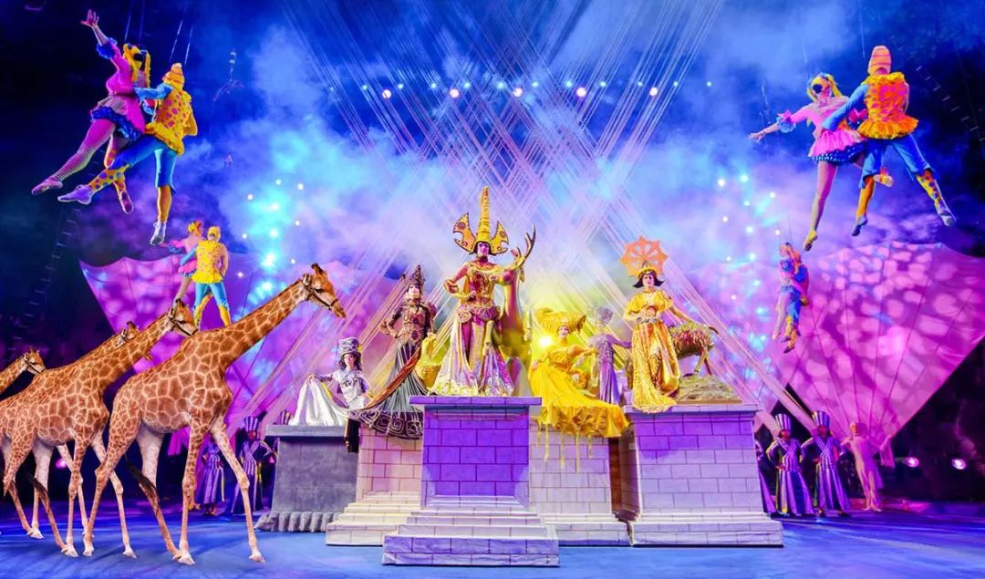 新奧門天天開將資料大全——全面解析與實用指南，新奧門天天開將資料大全，全面解析與指南