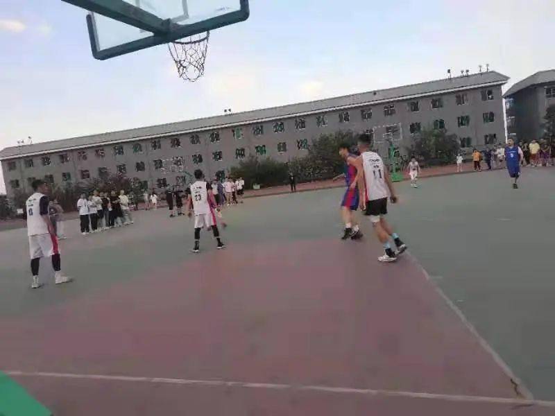 澳門二四六天下彩天天免費(fèi)大全——全面解析澳門彩票文化，澳門彩票文化全面解析，二四六天下彩免費(fèi)大全