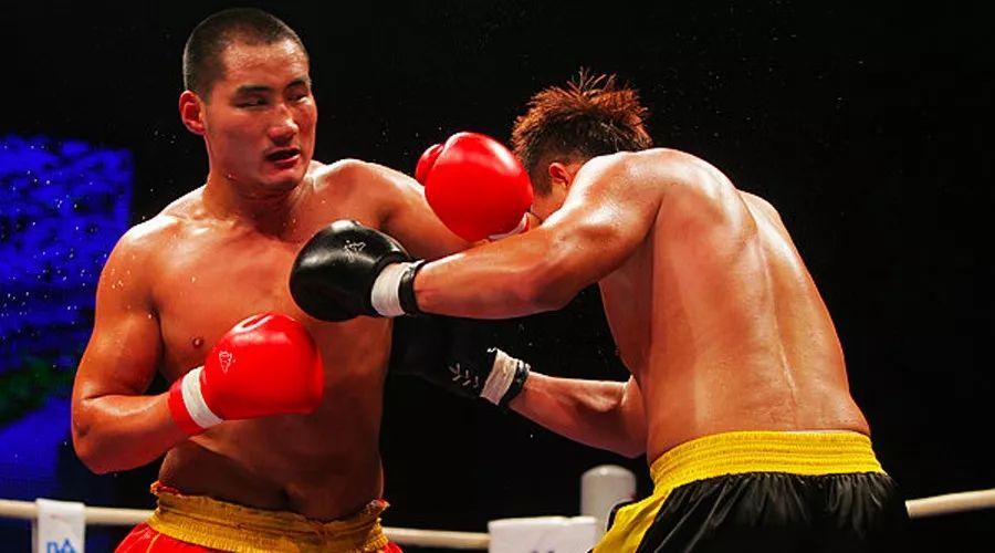 王中王85期指一生肖——深度解析與預(yù)測(cè)，王中王85期生肖深度解析與預(yù)測(cè)