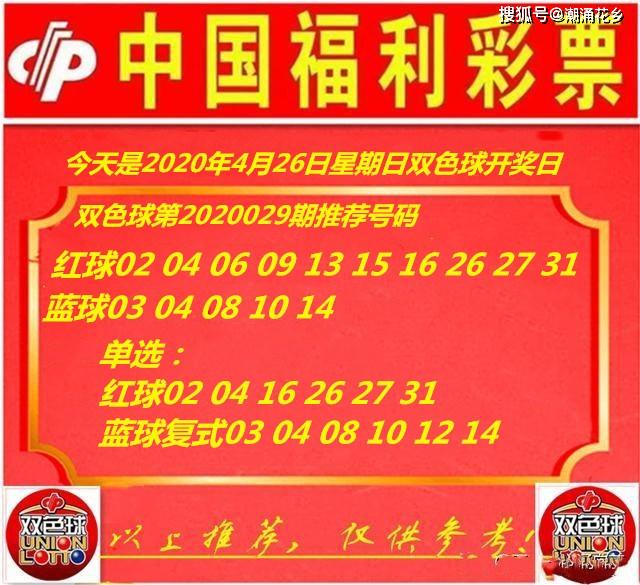 王中王029期指一生肖，揭秘生肖魅力與預(yù)測背后的秘密，揭秘生肖魅力與預(yù)測背后的秘密，王中王生肖預(yù)測第029期揭曉