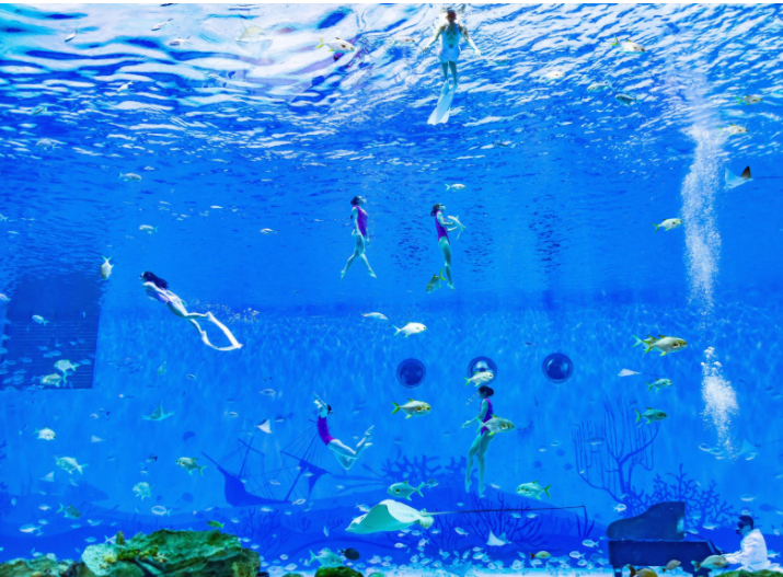 海昌海洋公園門票價格詳解，海昌海洋公園門票價格全面解析