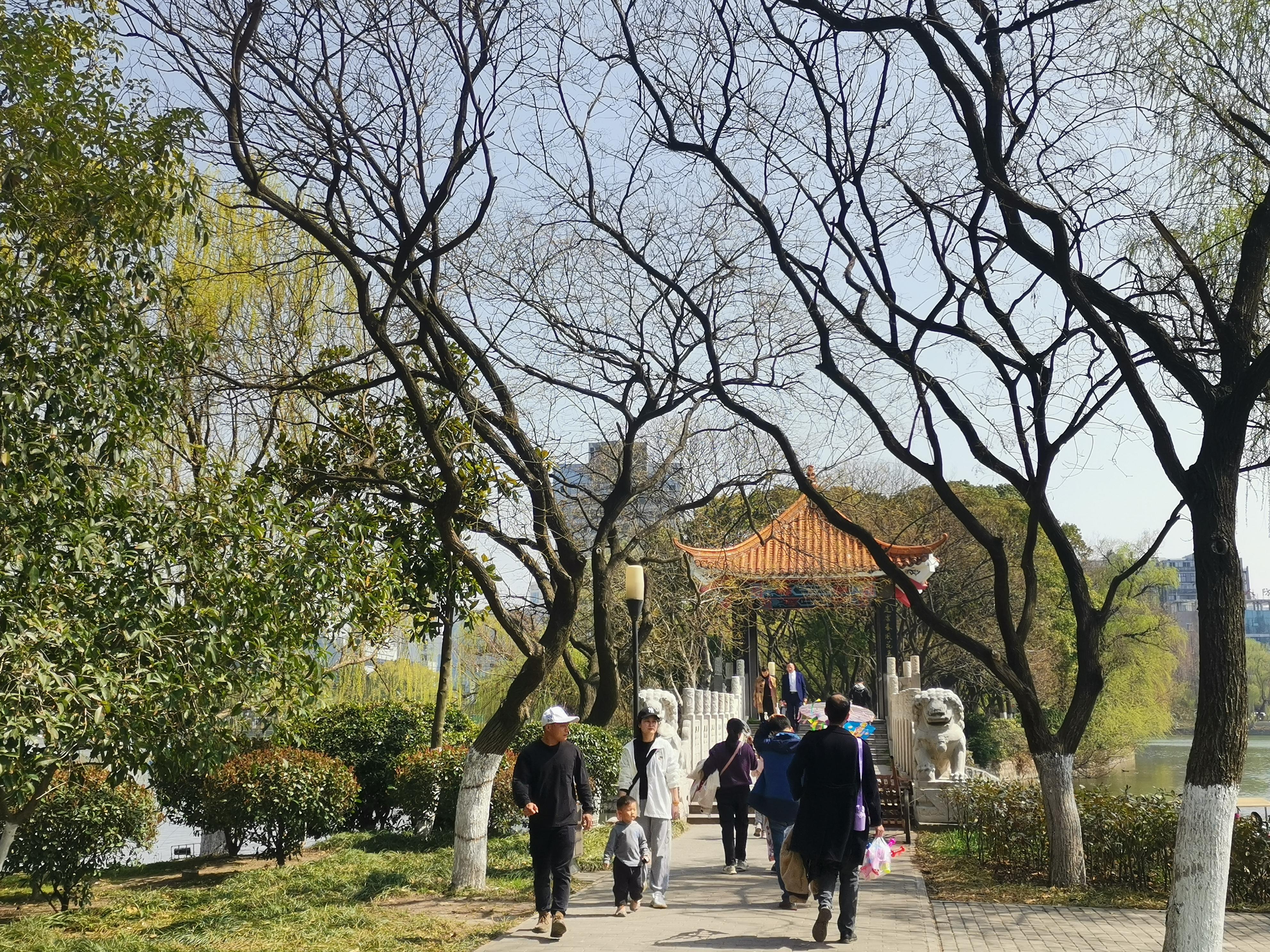 澳門75期最快天天開獎，揭秘彩票背后的秘密與策略，澳門75期天天開獎揭秘，彩票背后的秘密與策略探究