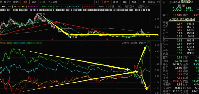 關(guān)于股票行情分析，聚焦代碼為000838的股票動(dòng)態(tài)，股票行情分析，聚焦代碼為000838的股票走勢(shì)動(dòng)態(tài)