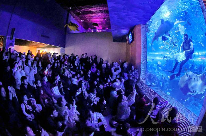 新澳2025今晚開獎結(jié)果，揭秘彩票背后的秘密與期待，揭秘新澳2025彩票開獎背后的秘密與期待，今晚開獎結(jié)果揭曉！